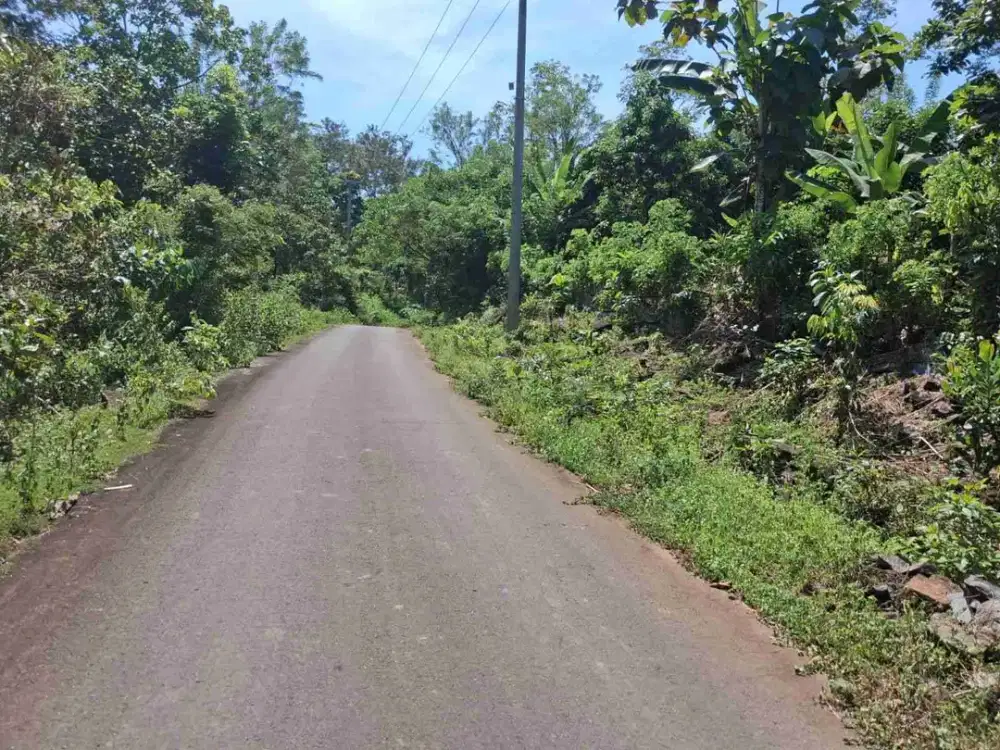 DIJUAL TANAH KEBUN PARANGLOE GIGIT ASPAL