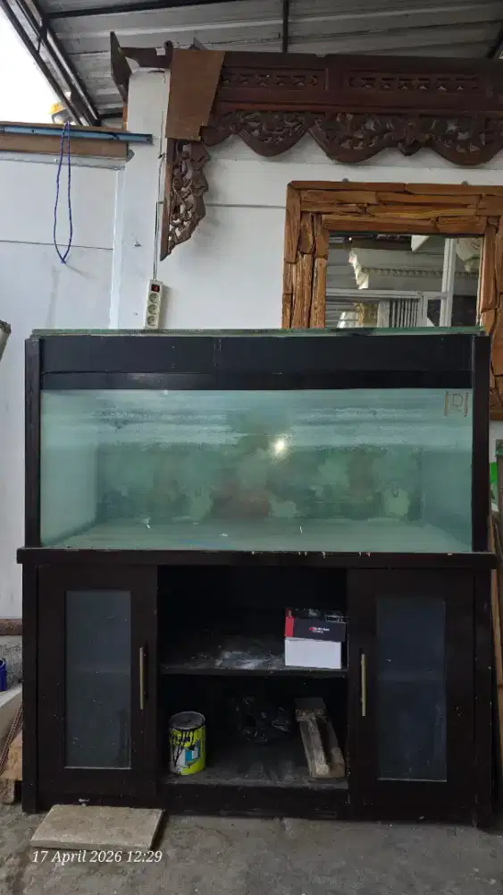 Aquarium bekas ikan Arwana