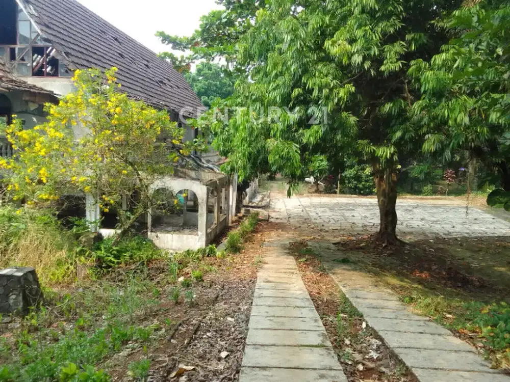 Tanah PARUNG 6 Ha Cocok Untuk Usaha Ataupun Bangun Perumahan