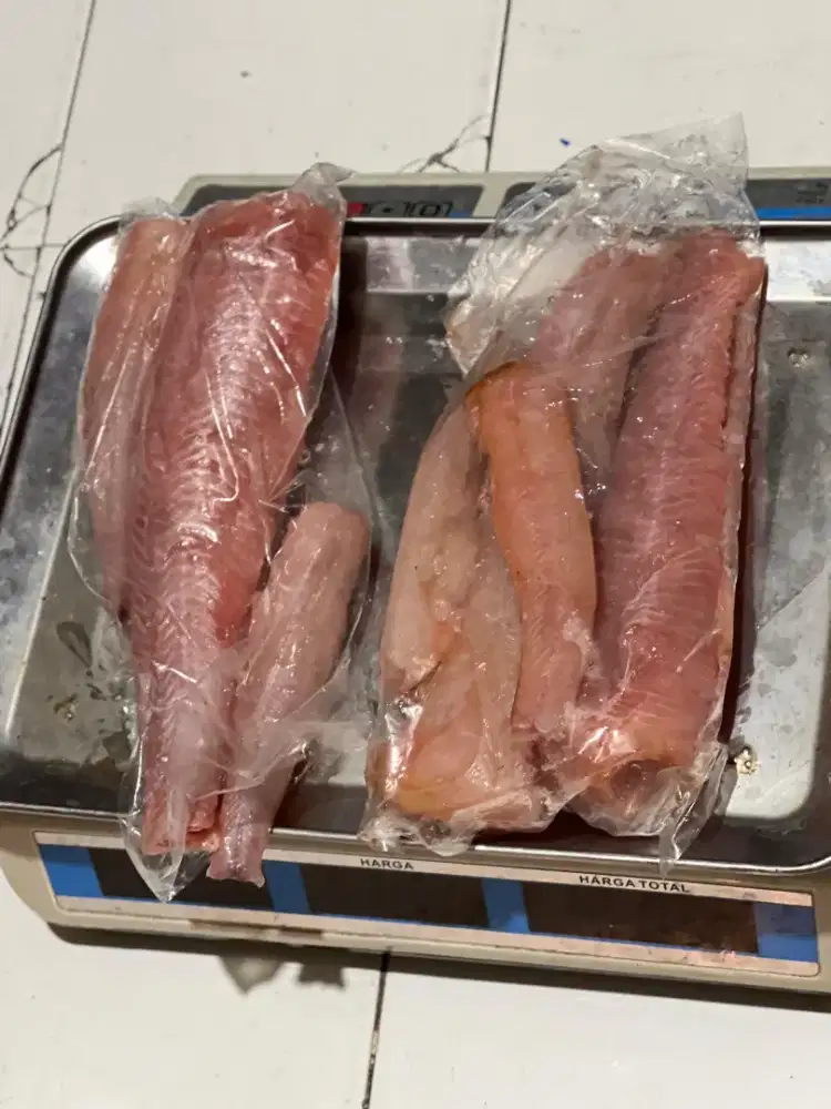 Ikan gabus Fillet  siap masak