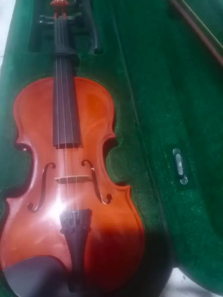 Biola violin 1/4