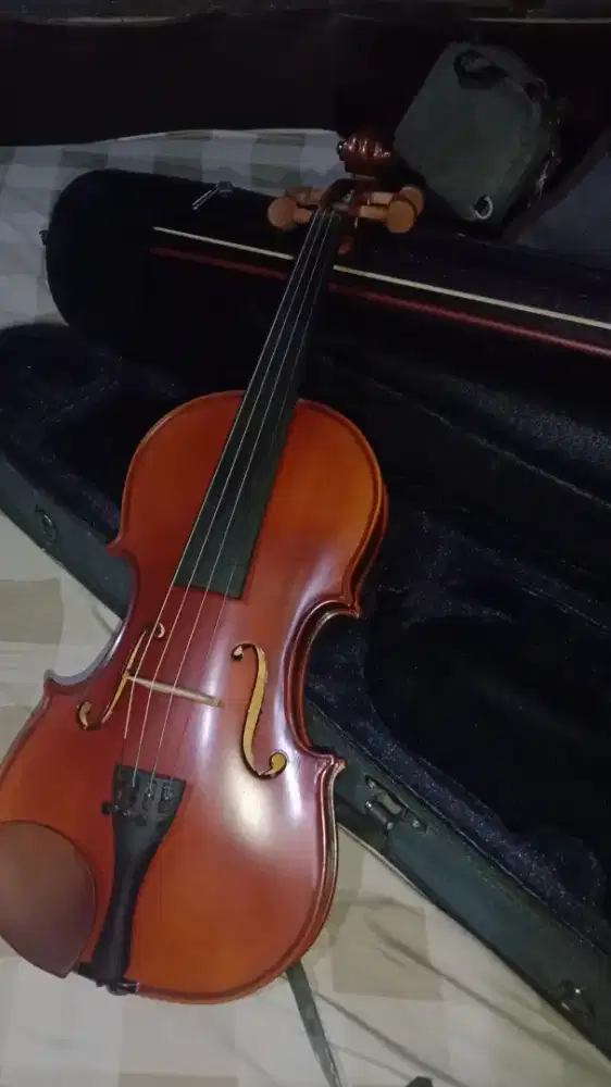 Biola / Violin Scott Guan 4/4