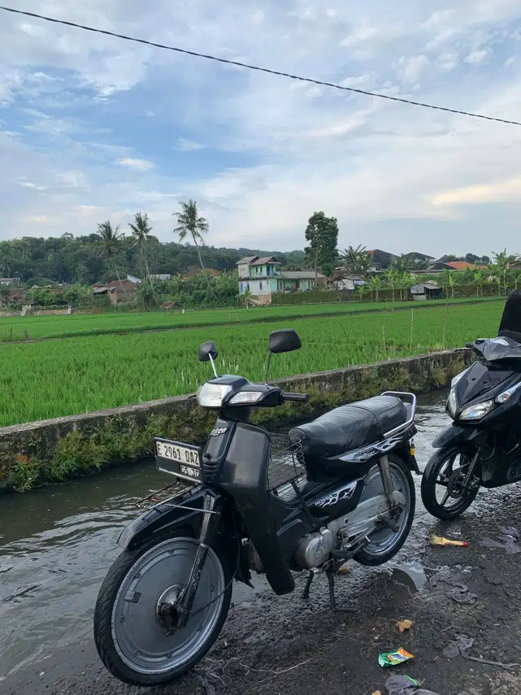 astrea legenda 2002 kalcer