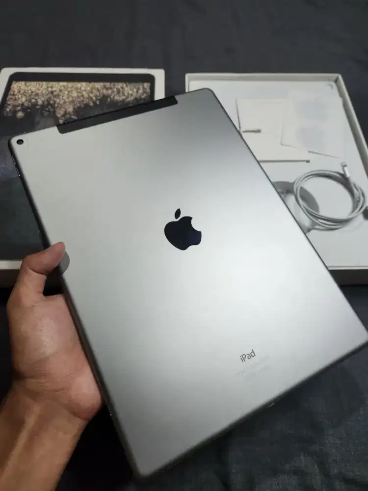 iPad Pro 12,9 inch inter