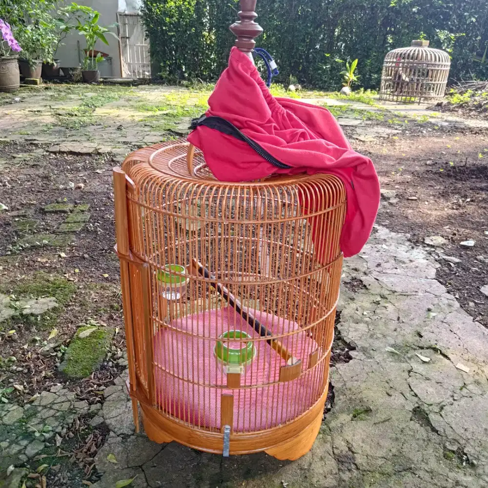 Kandang bulat buat burung