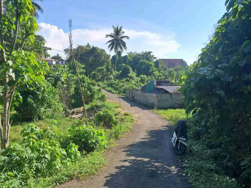 DIJUAL CEPAT TANAH SANGAT MURAH DAERAH POLITEKNIK, HARGA DI BAWAH PASARAN