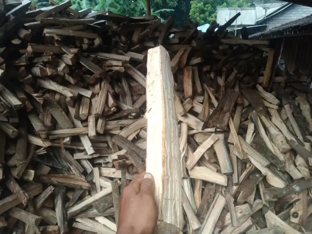 kayu karet bakar
