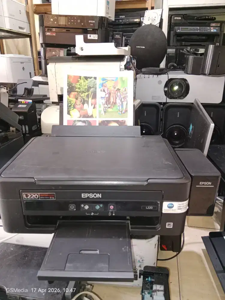 Epson L220 print scan copy