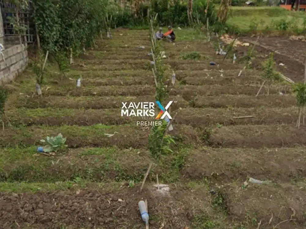 Dijual Kavling Tanah di Mulyoagung Dau Malang Akses Dekat Jalan Raya