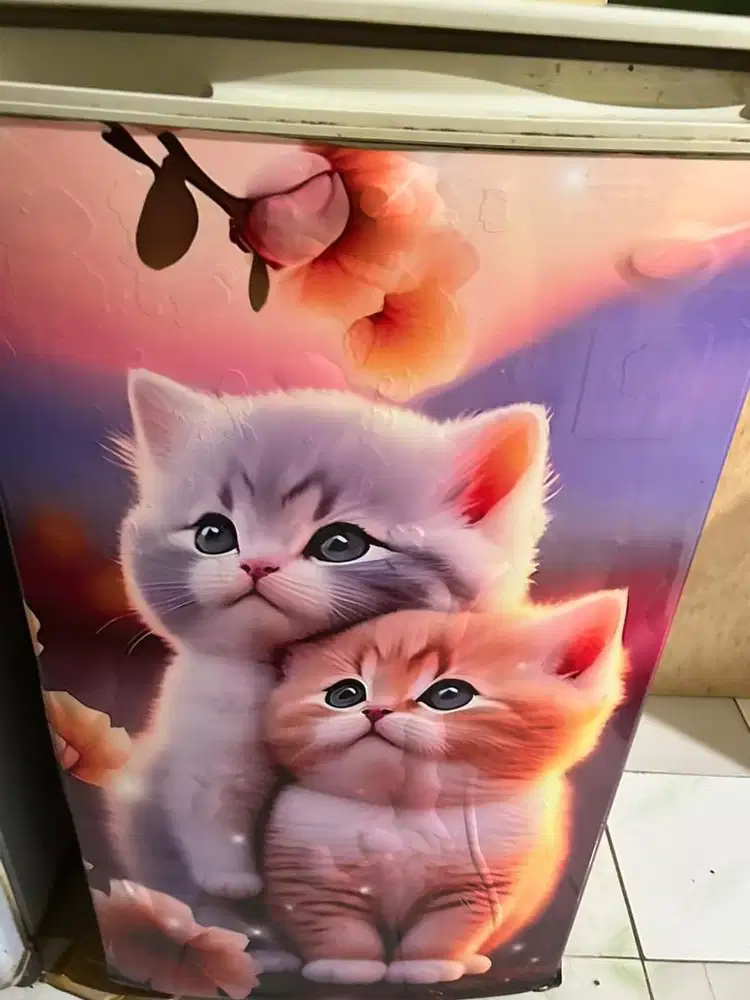 kulkas uchida second