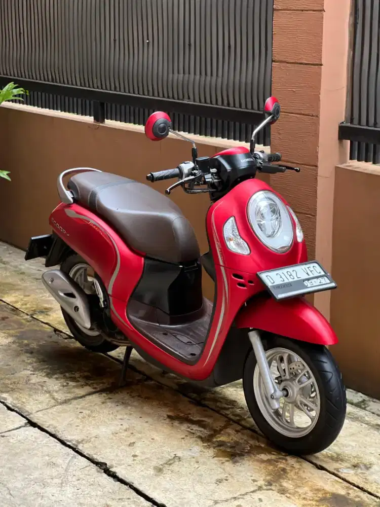 Honda Scoopy stylish 2022