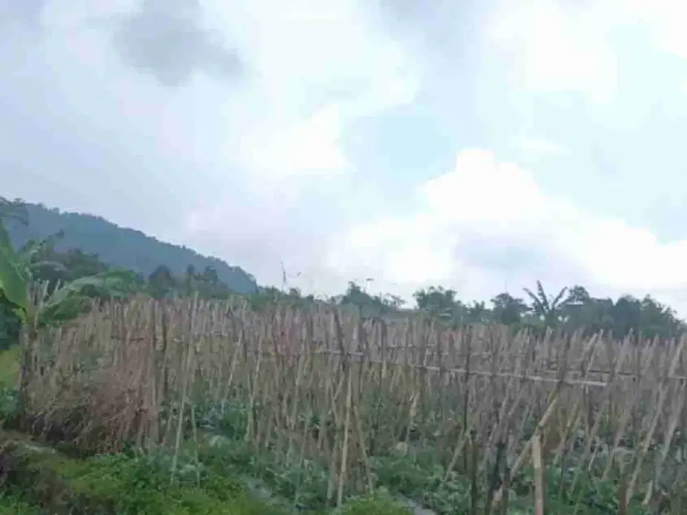 Tanah kavling 420 m2 Palasari Ciater Subang