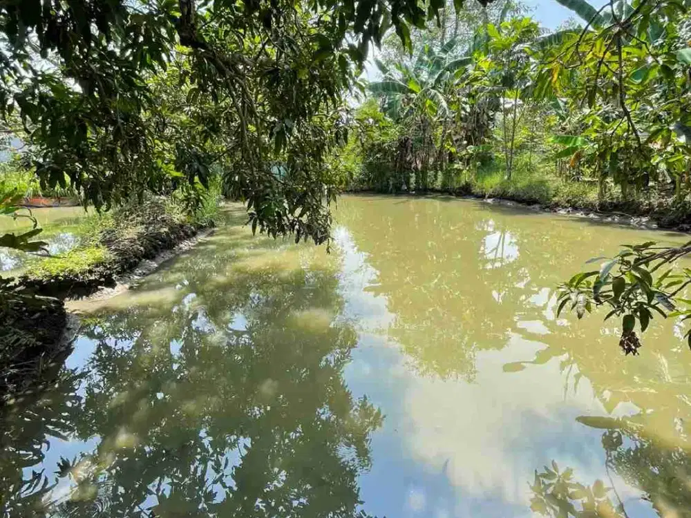 Dijual Kolam pemancingan Luas 777 m² sertifikat SHM