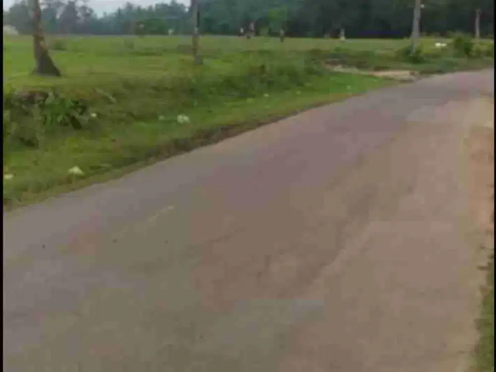 Dijual Tanah Dekat Samanea Hill 2,5 Hektar Parung Panjang