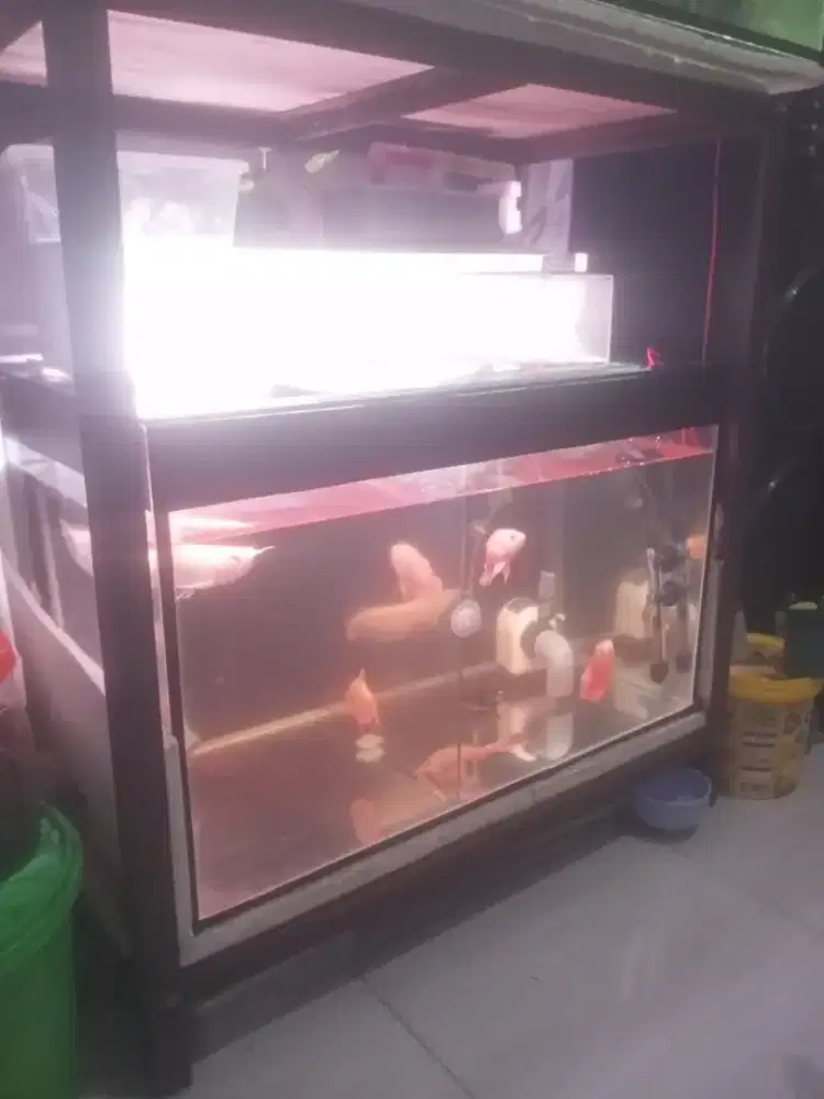 Aquarium dan meja aquarium