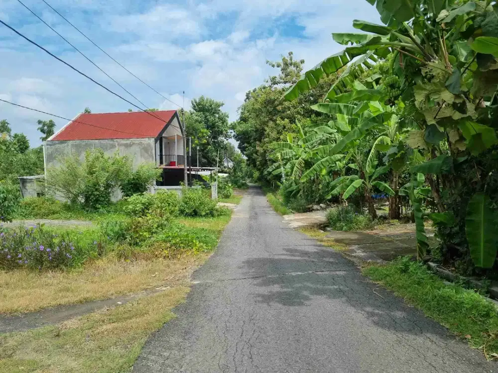 DIJUAL TANAH PEKARANGAN DI ARGOMULYO SEDAYU