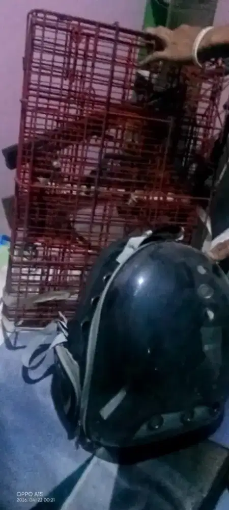 Kandang dan tas kucing