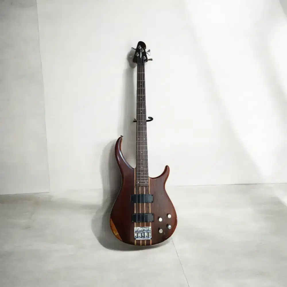 Drayer Bass Hipshot