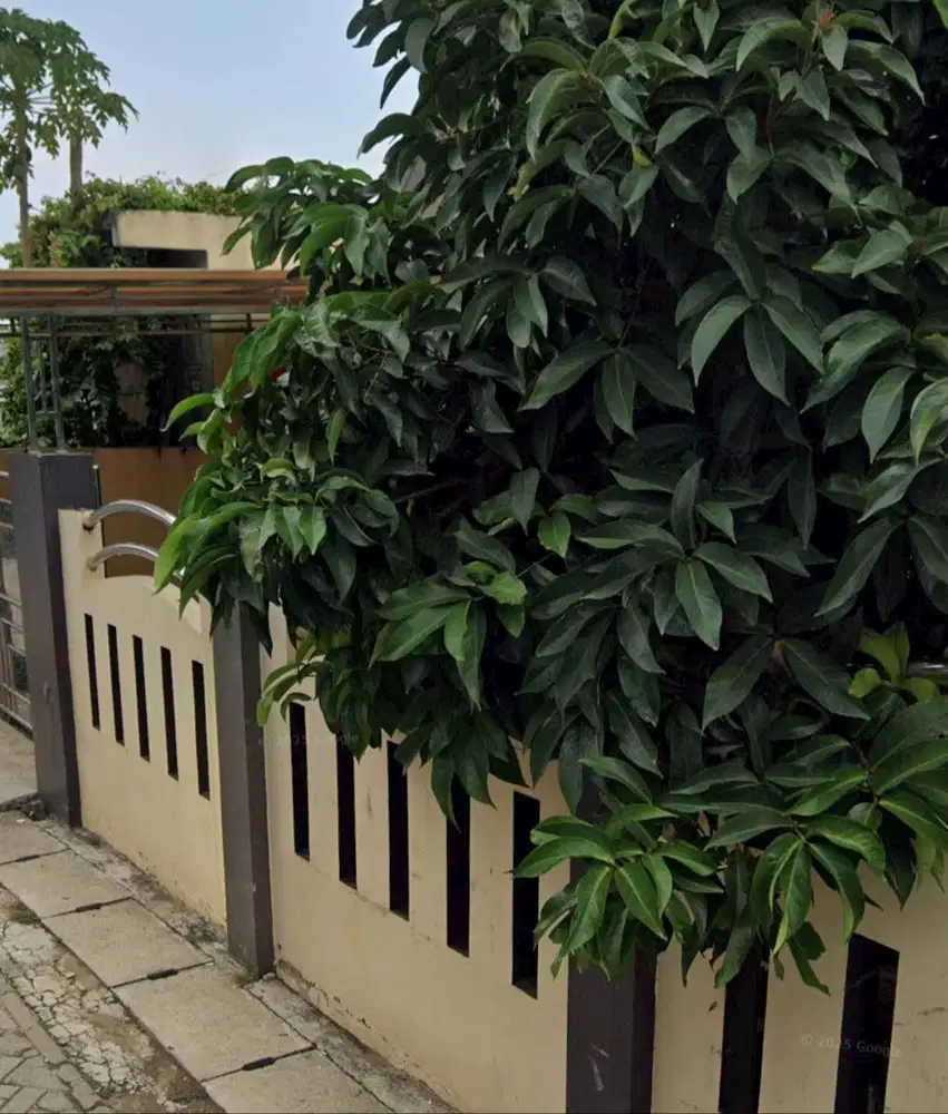 Dicari ART untuk wilayah Pinang, Ciledug