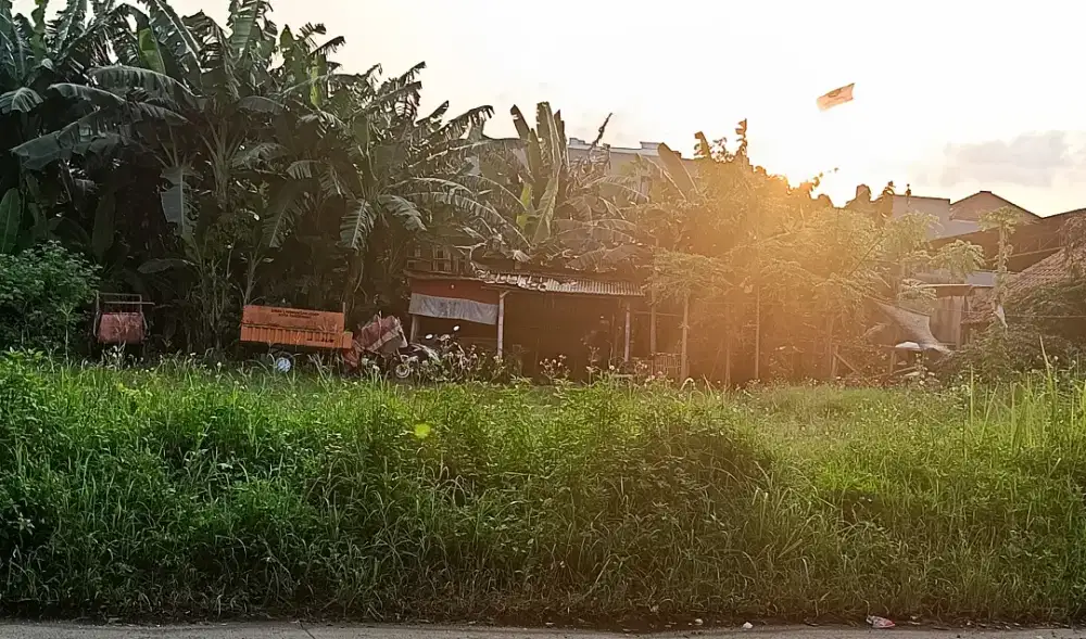 Cari pekerjaan harian yg langsung di byr