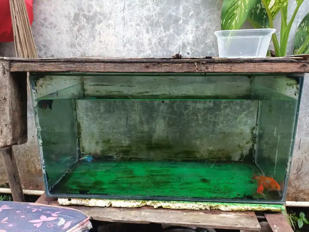Dijual Aquarium bekas