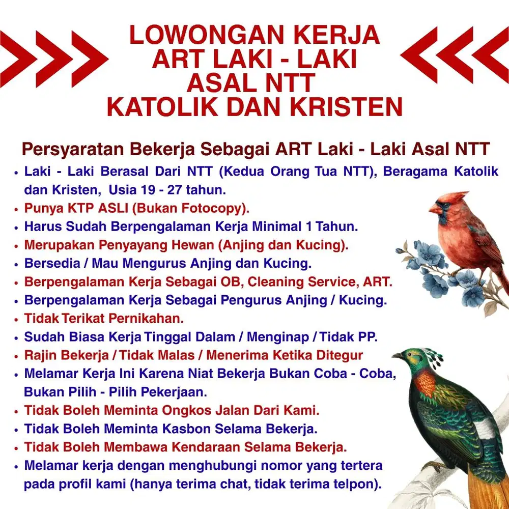ART LAKI - LAKI ASAL NTT