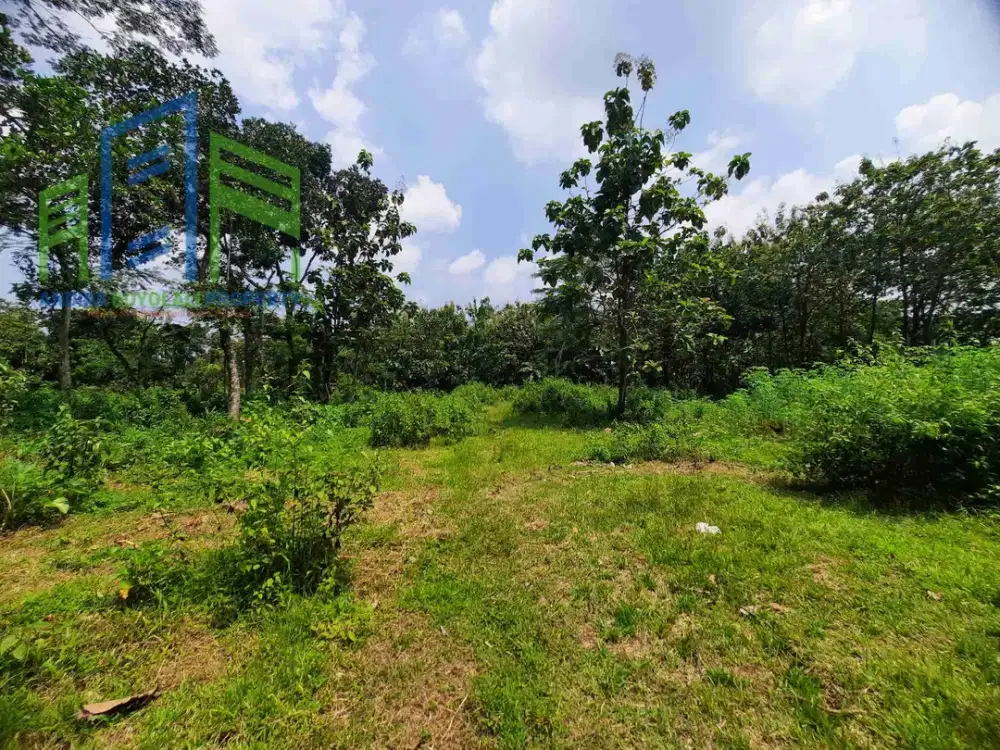 Tanah murah di Mojosongo Boyolali