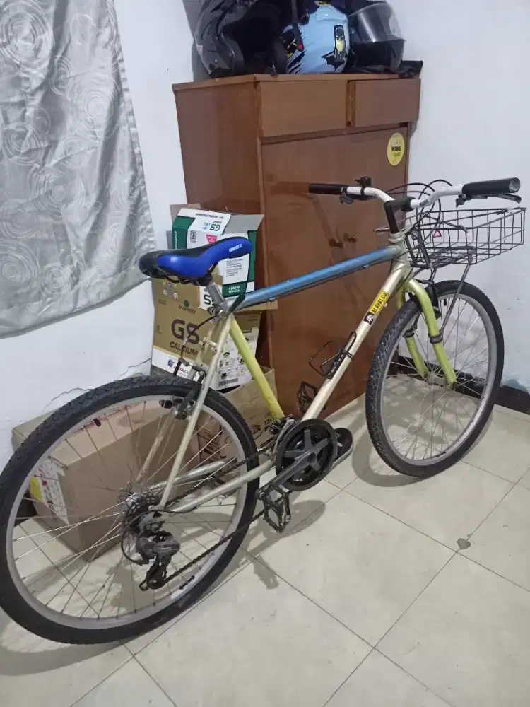 Sepeda Custom Konsep Commuter Bike