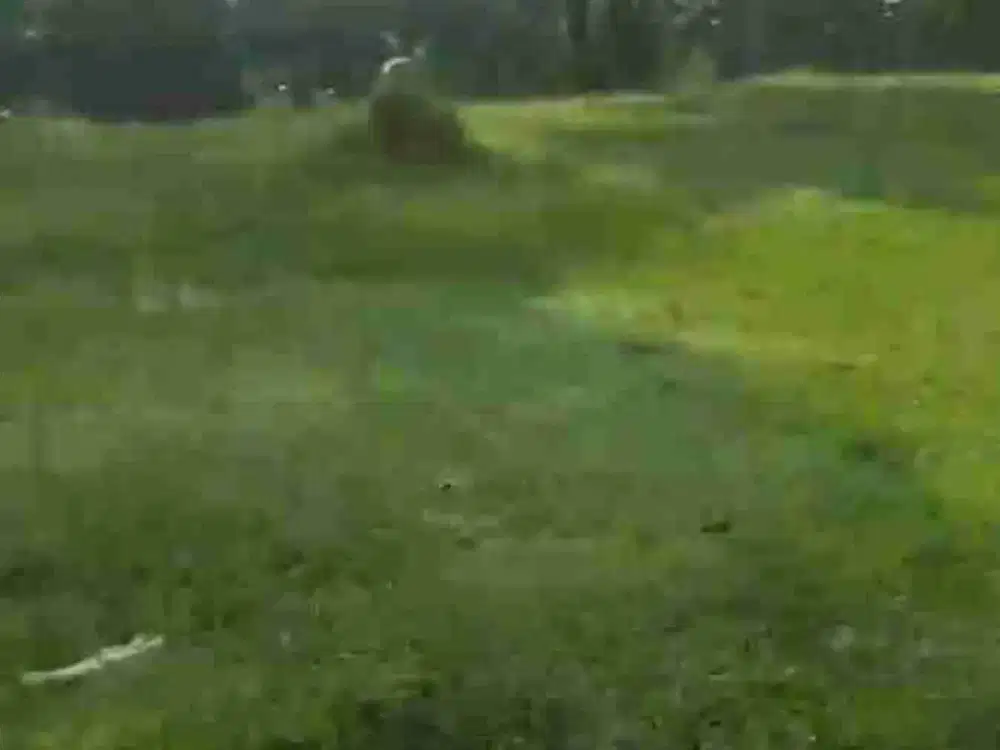 Dijual Lahan Kebun 1,3Ha di Cijeruk Bogor