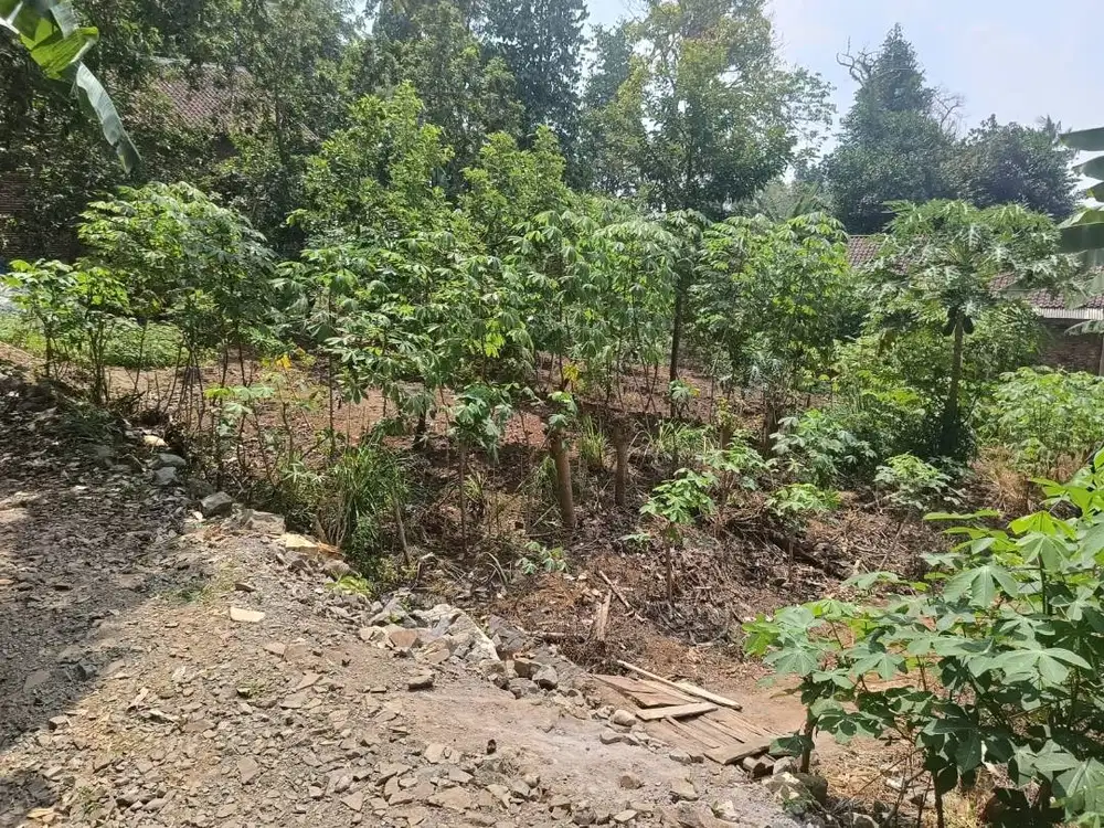 TANAH GUNTER PRAMUKA DIJUAL MURAH LOKASI STRATEGIS BUAT RUMAH HUNI