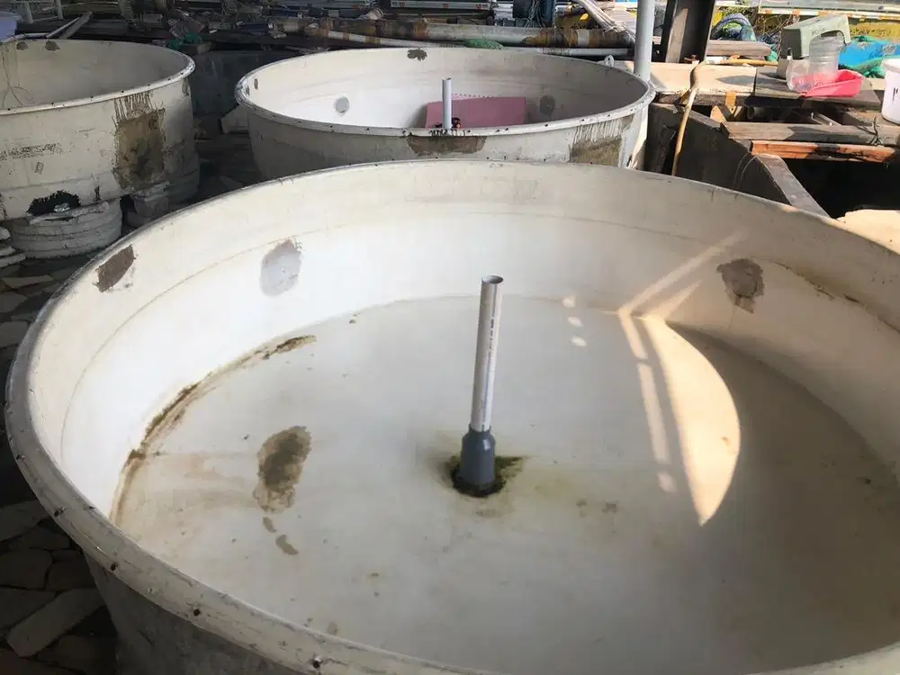 Bak fiber ikan diameter 2 mt tinggi 60 cm jumlah 36 bh @ Rp 500 ribu