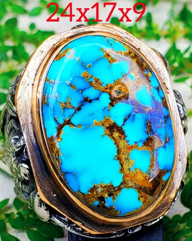 Pirus Persia Urat Emas indah Mewah