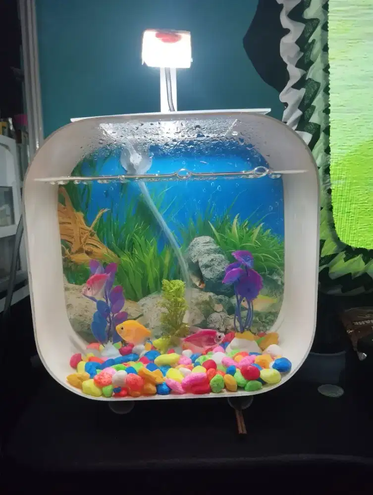Aquarium mini Akrilik pipa pvc fullset
