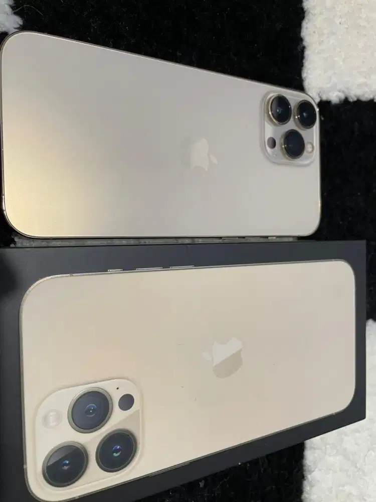 iPhone 13 Pro Max 512GB Mulusss