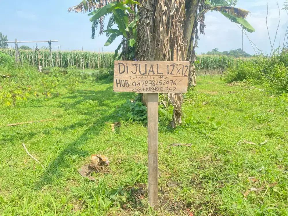 Dijual cepat nego langsung 135jt 144m