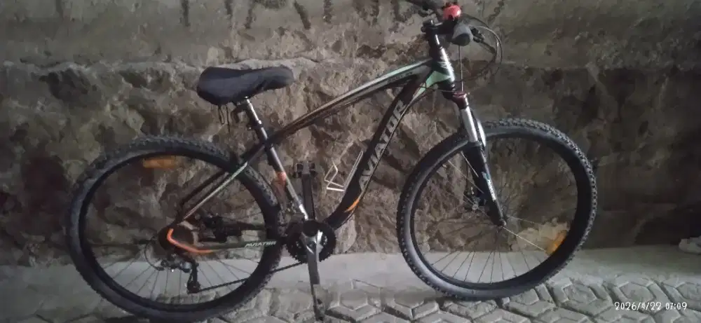 aviator 2691rs dewasa