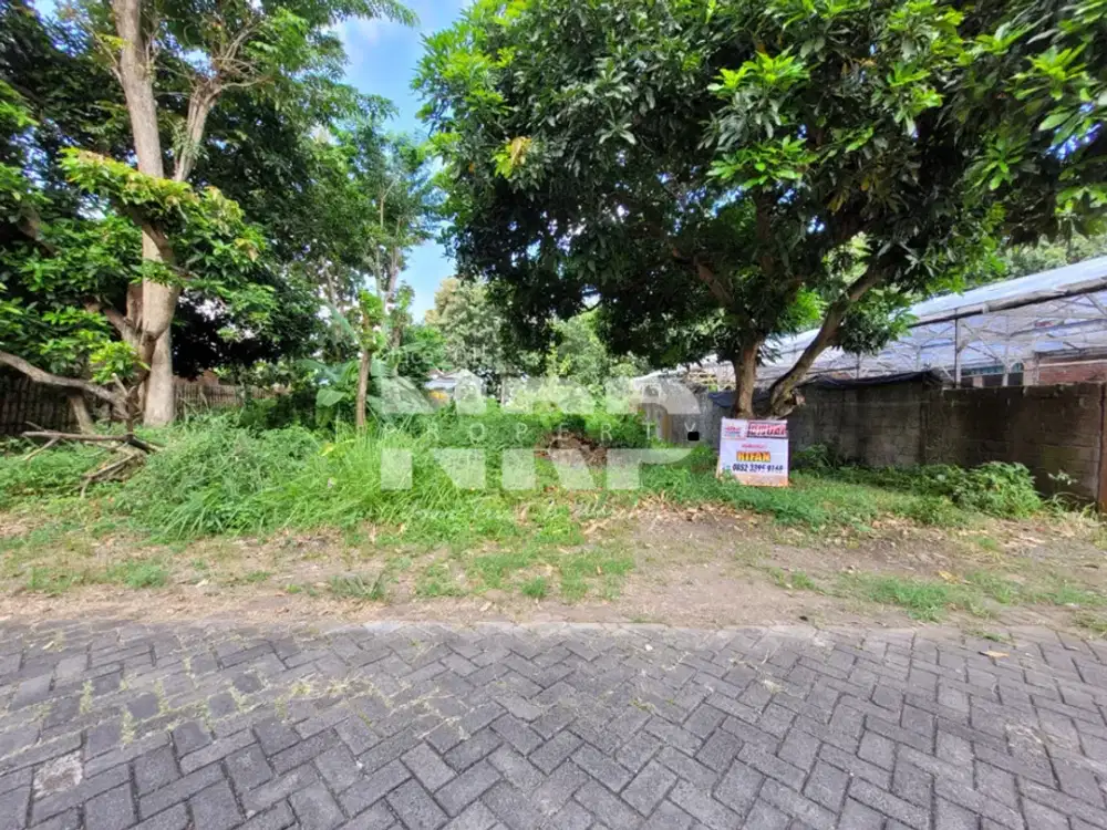 Dijual Tanah Murah berada di Kebalenan - Banyuwangi