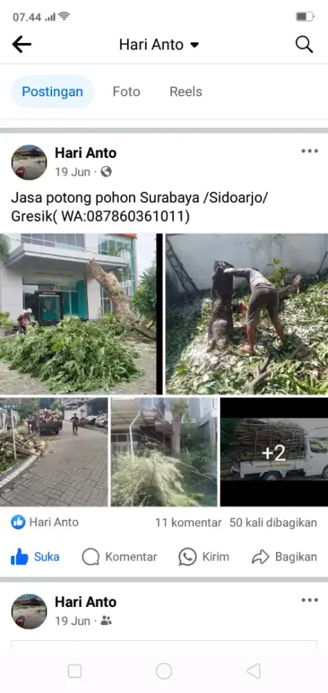 Jasa potong pohon Surabaya