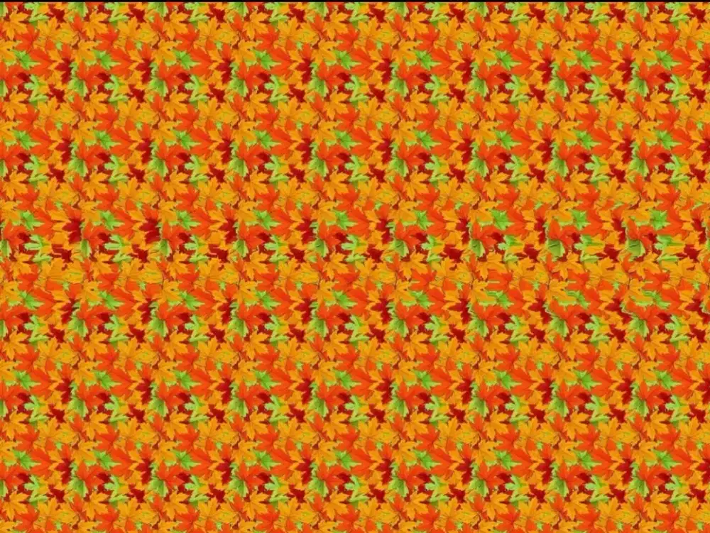 LOWONGAN KERJA ADMIN KARYAWATI DAERAH CENGKARENG