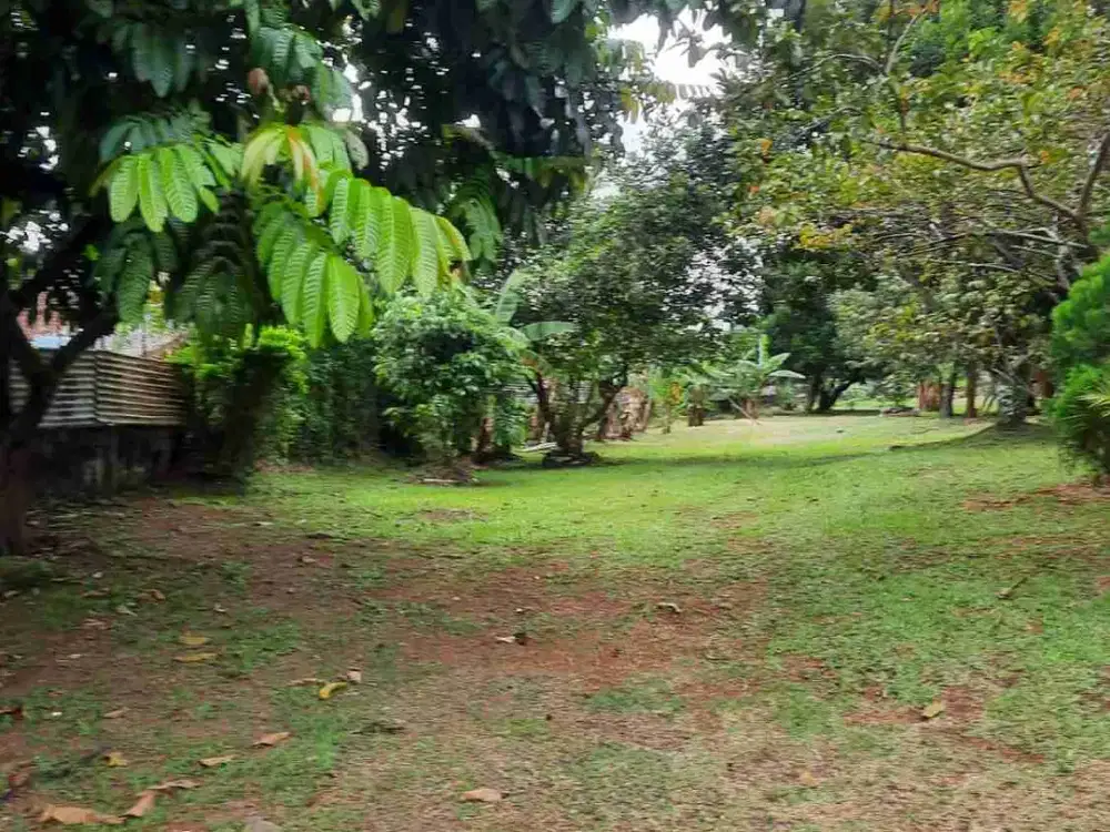 Jual Kavling Pinggir Jalan 8000m Cilangkap Cimanggis Murah