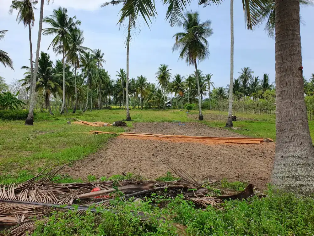 DIJUAL TANAH KEBUN 2.240 M2 (PERTAPAN/KAPPLING) NEGO