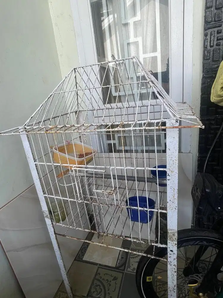 Kandang burung / ayam