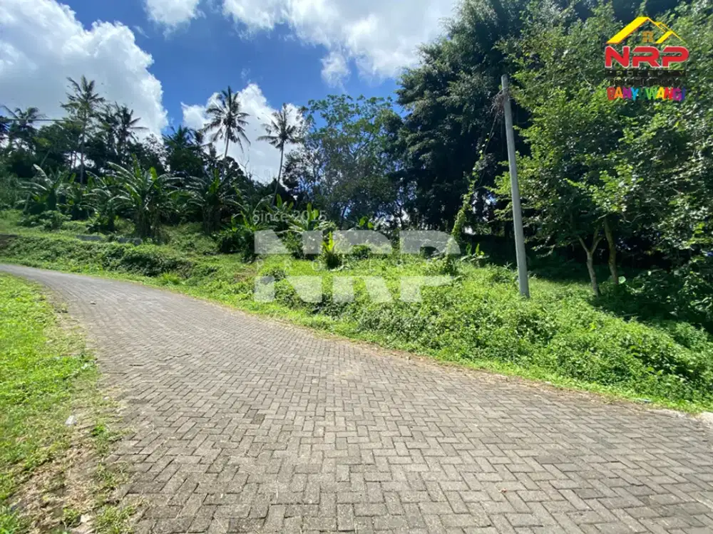 Dijual Tanah Dengan View terasiring Cantik di tepi Paspan, Glagah