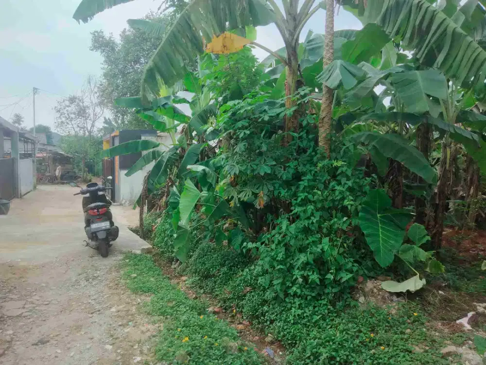 jual Murah tanah 100 m2 jl damai TigaPutra meruyung limo depok