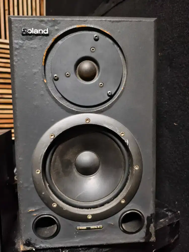 Speaker Roland DS 90A