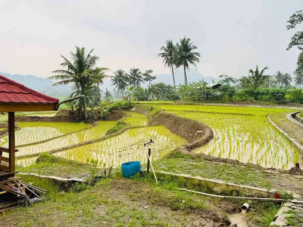 Panorama Alam Indah & Potensi Investasi Menjanjikan