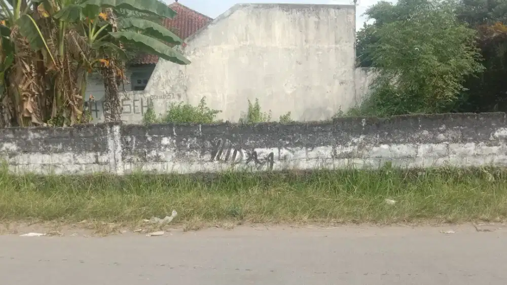 Tanah murah di Penen dekat ke masjid SUCIATI jalan Gito Gati Sleman
