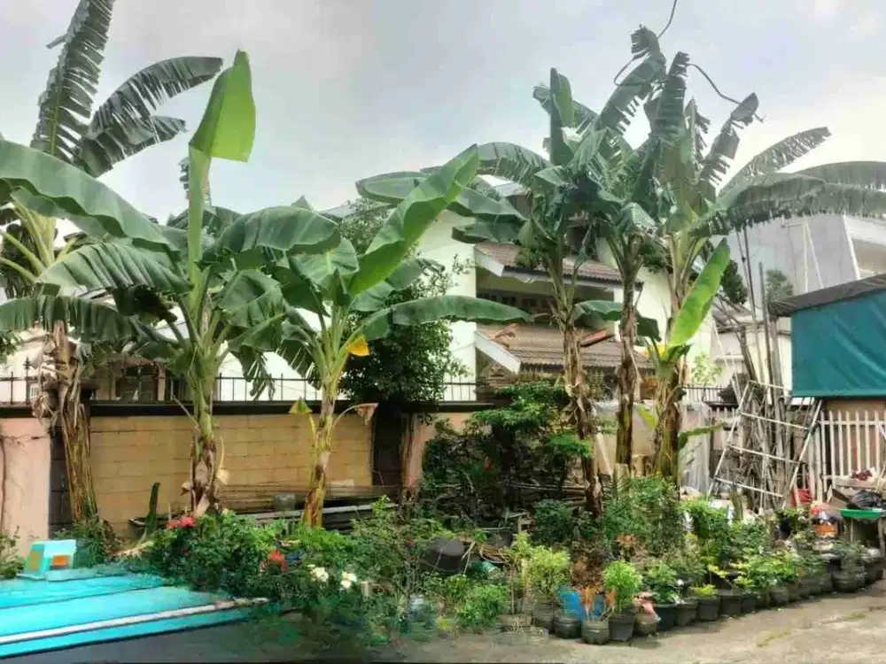 Disewa Rumah Huk Besar di Sunter