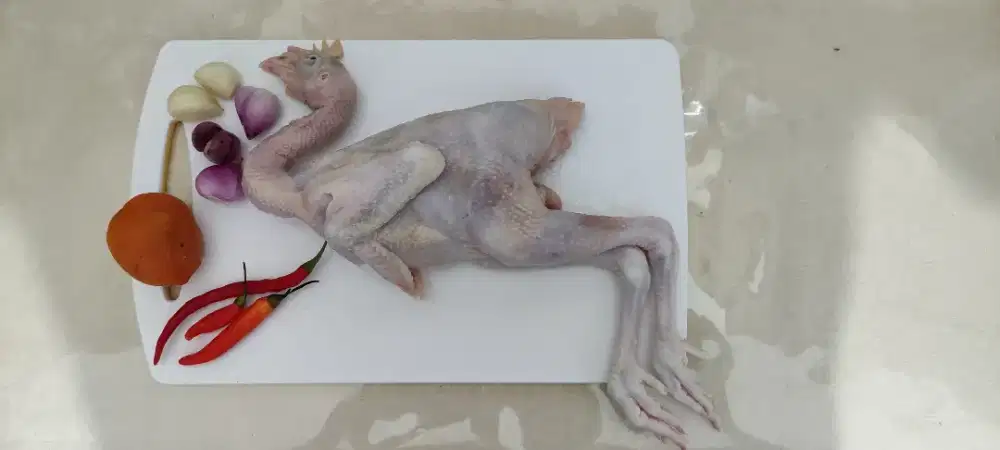 Karkas ayam pejantan bb 06-07