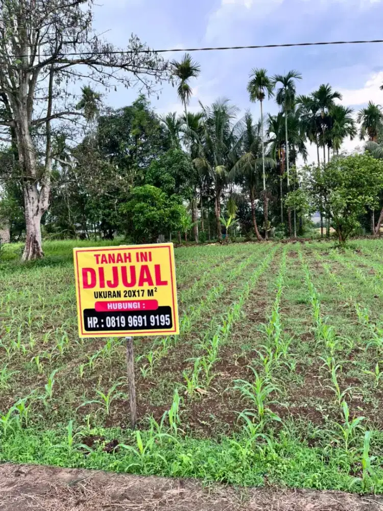 Dijual lokasi tanah Datar cocok untuk banguan rumah di pinggir jalan